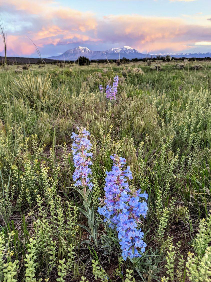 193226809_544413473609650_8363249106076884630_n-2